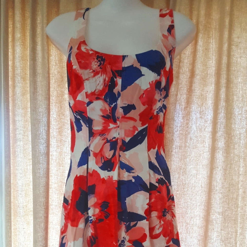 cappagalli dress floral size 12